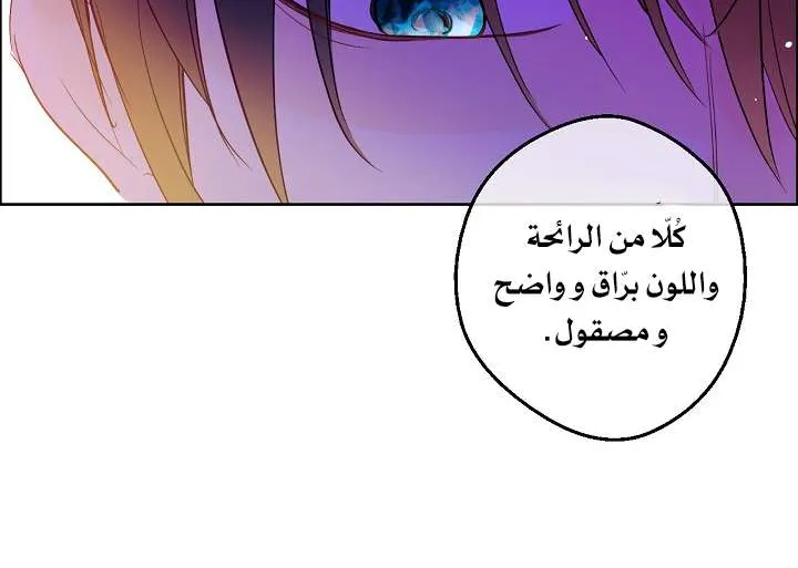 الصفحة 33 من 71