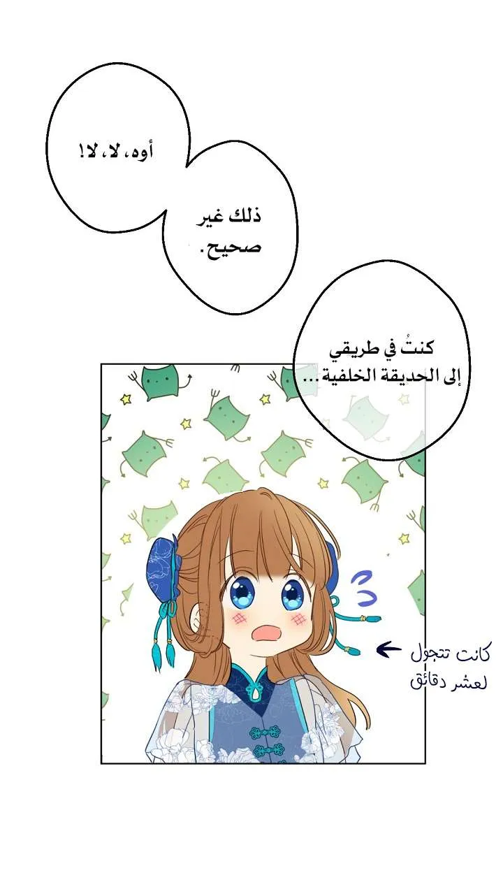 الصفحة 43 من 71
