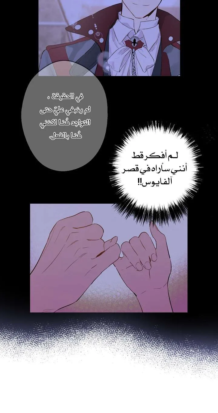 الصفحة 10 من 71
