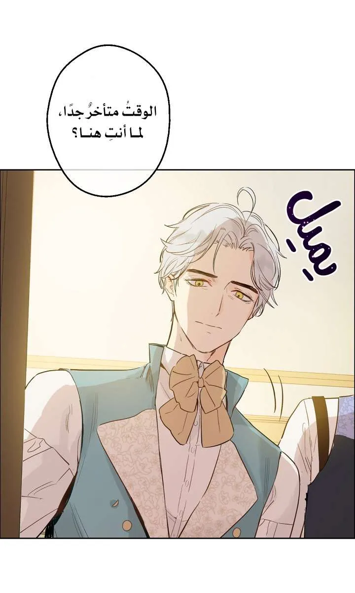 الصفحة 5 من 71