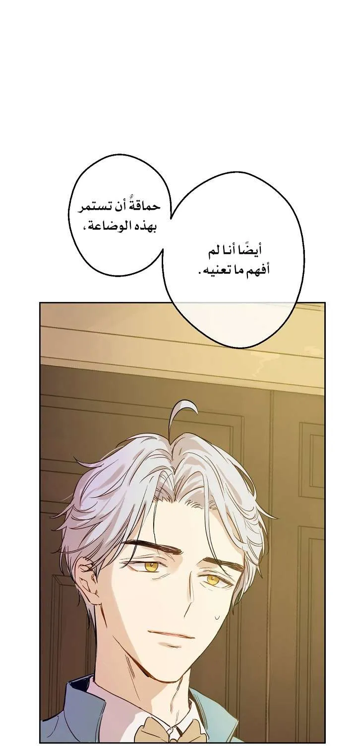 الصفحة 31 من 71