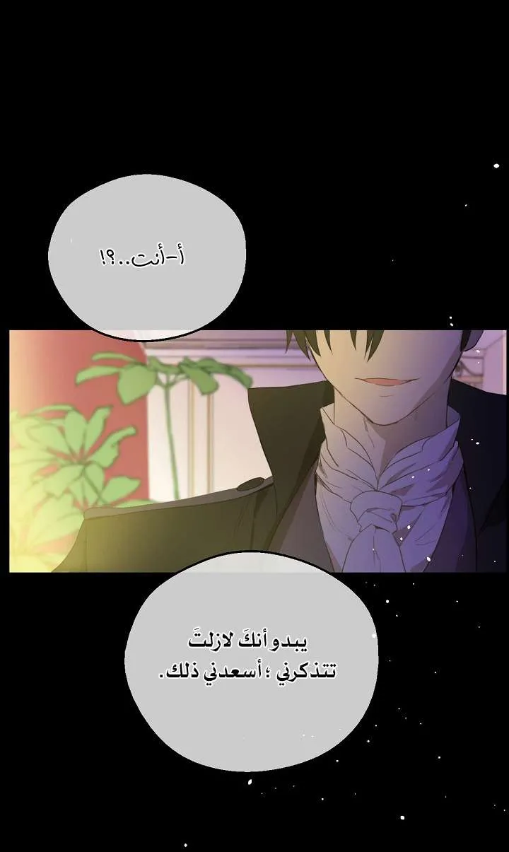 الصفحة 24 من 71
