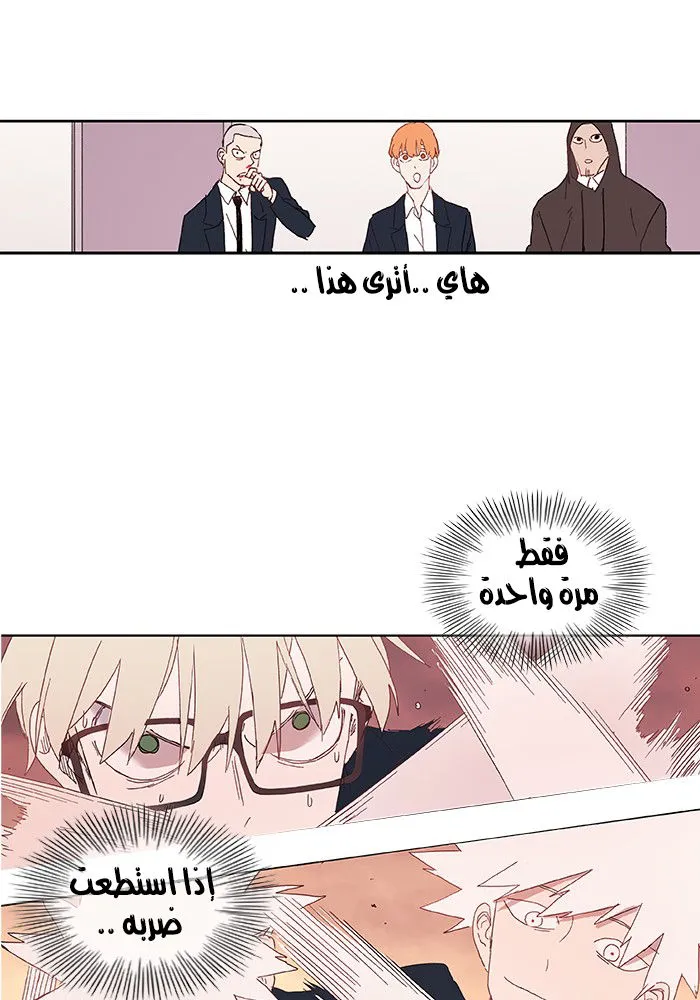 الصفحة 17 من 77