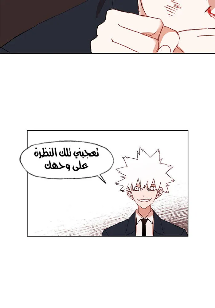 الصفحة 41 من 77