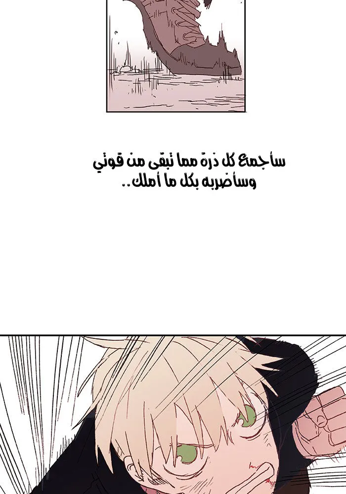 الصفحة 71 من 77