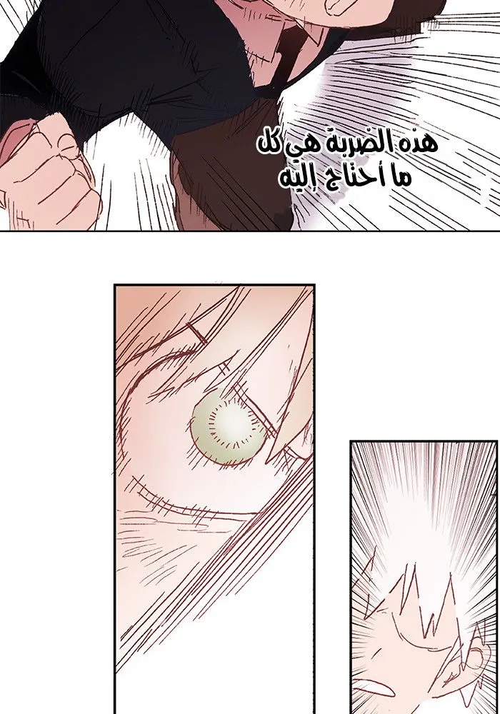 الصفحة 72 من 77