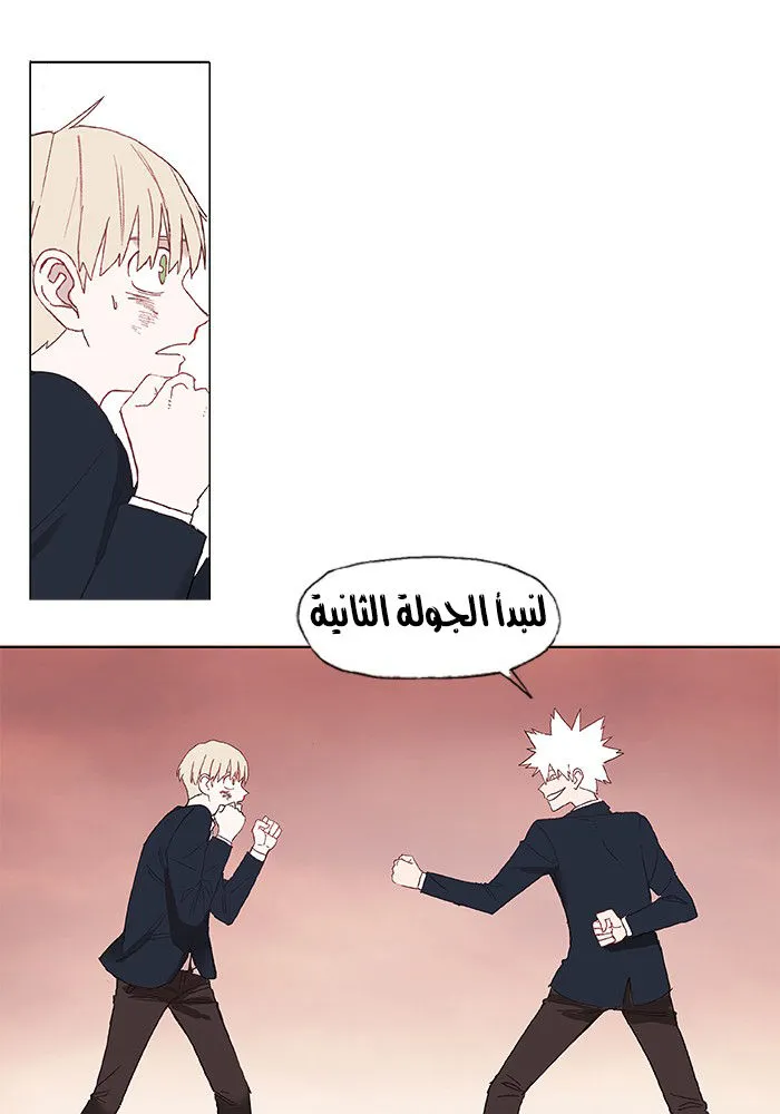 الصفحة 44 من 77