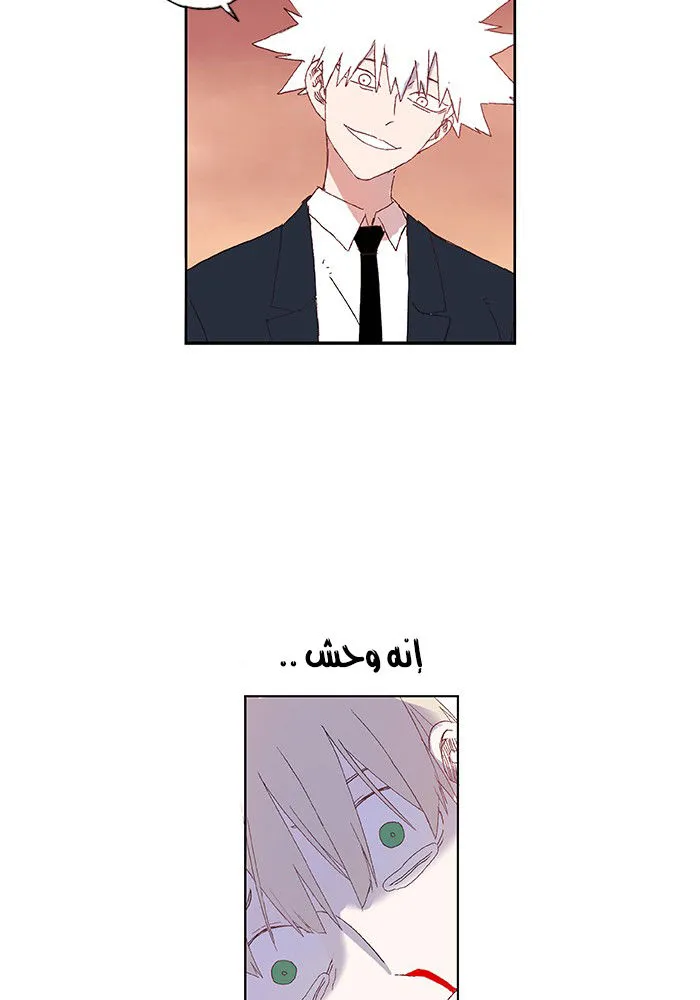 الصفحة 28 من 77