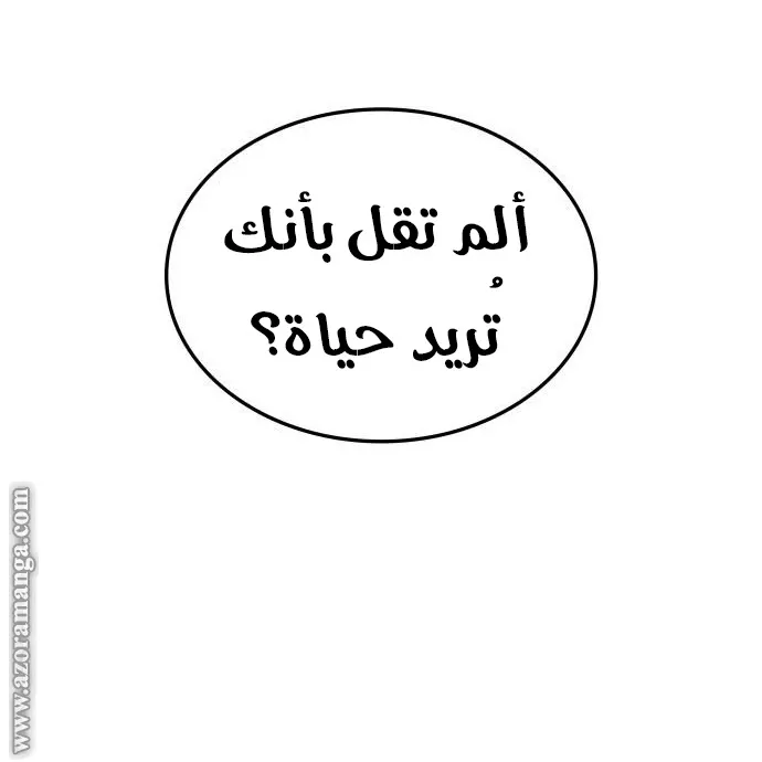الصفحة 43 من 117