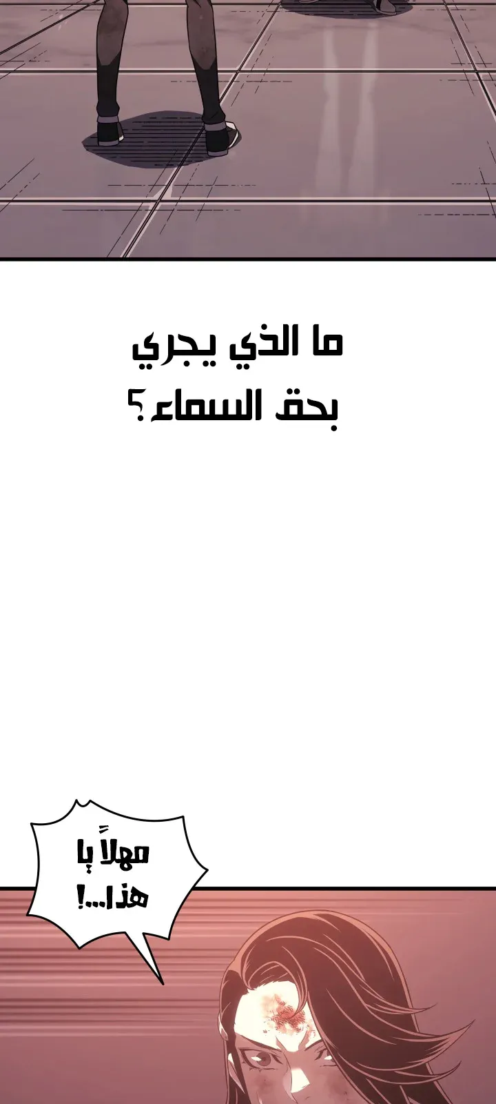 الصفحة 56 من 97