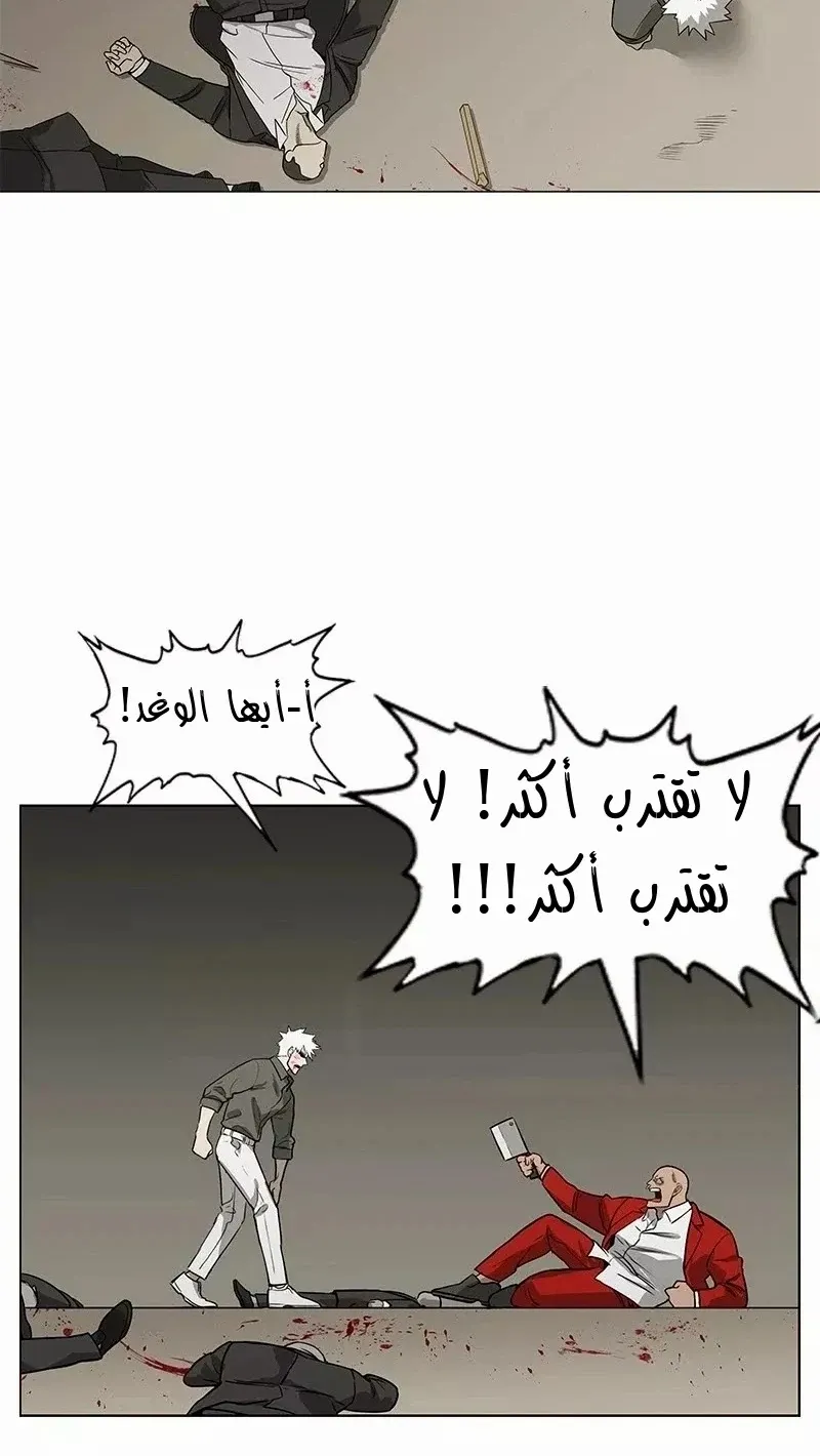 الصفحة 55 من 83
