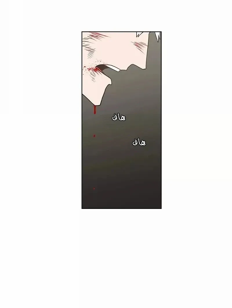 الصفحة 59 من 83