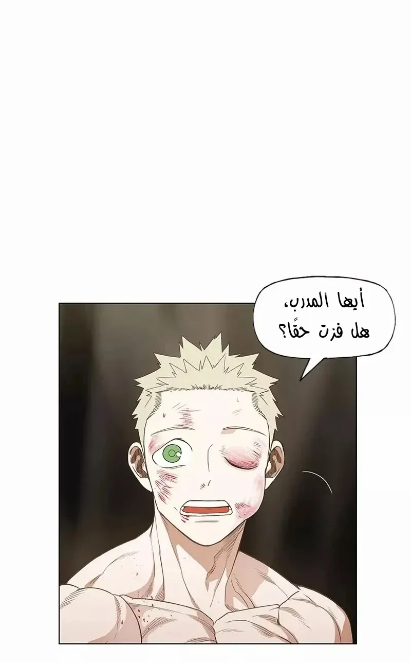 الصفحة 20 من 83
