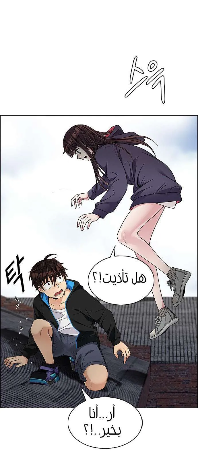 الصفحة 11 من 41