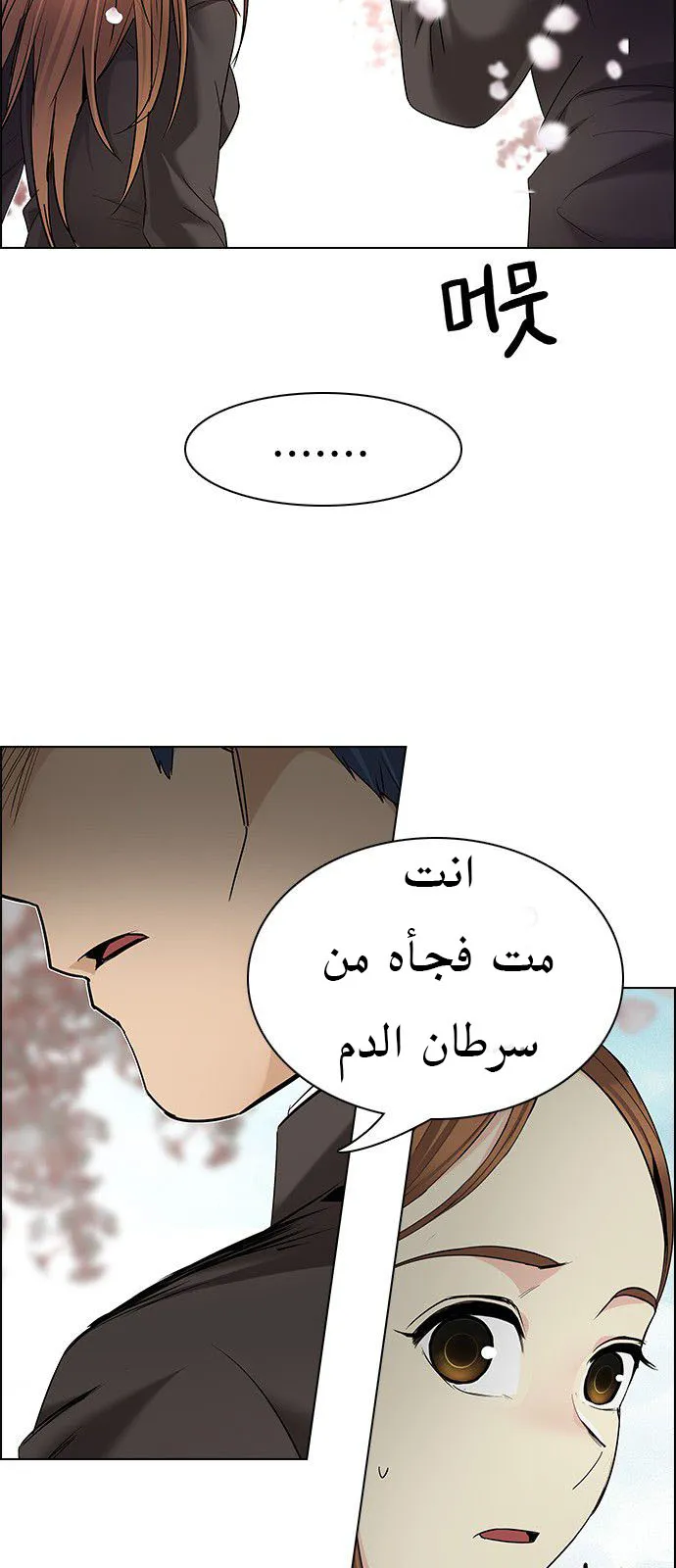 الصفحة 12 من 66