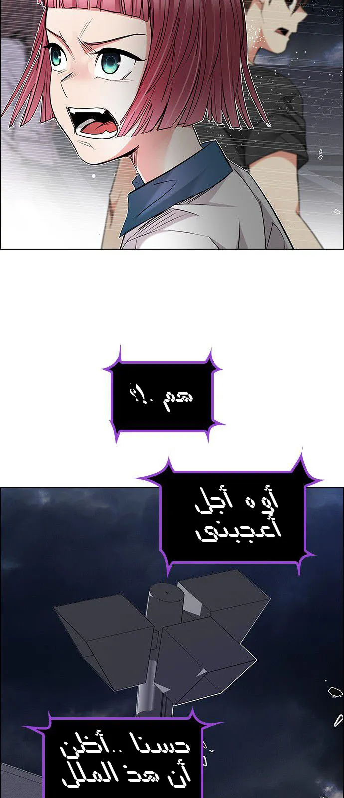 الصفحة 43 من 66
