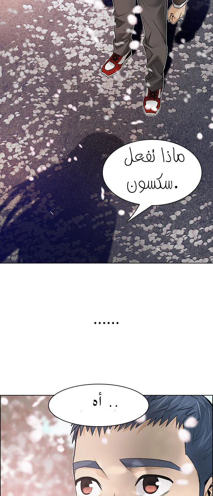 الصفحة 5 من 66