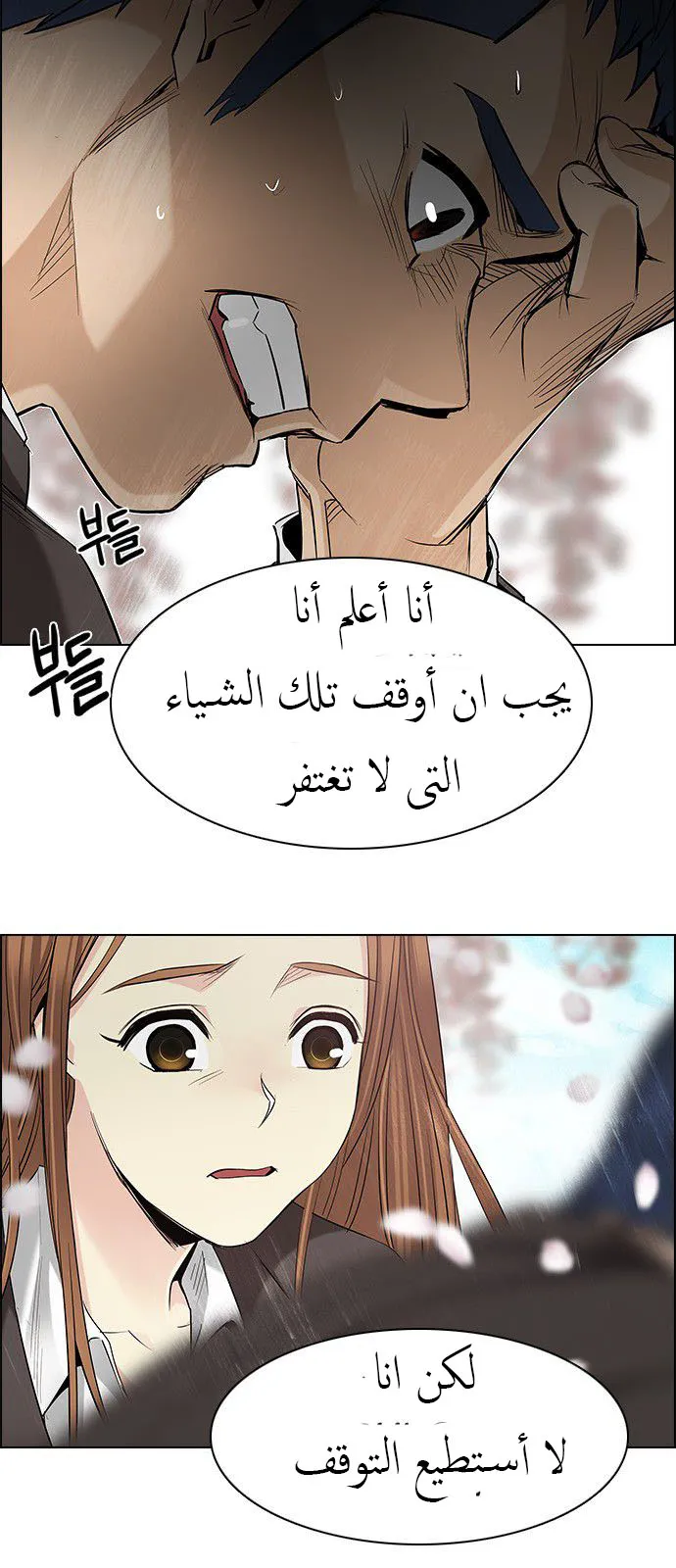 الصفحة 17 من 66