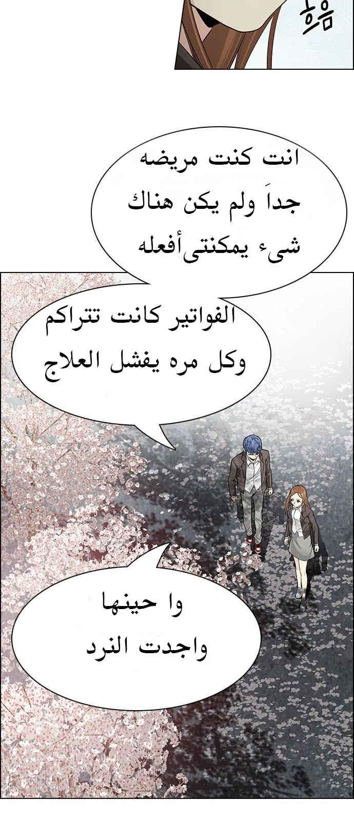 الصفحة 13 من 66