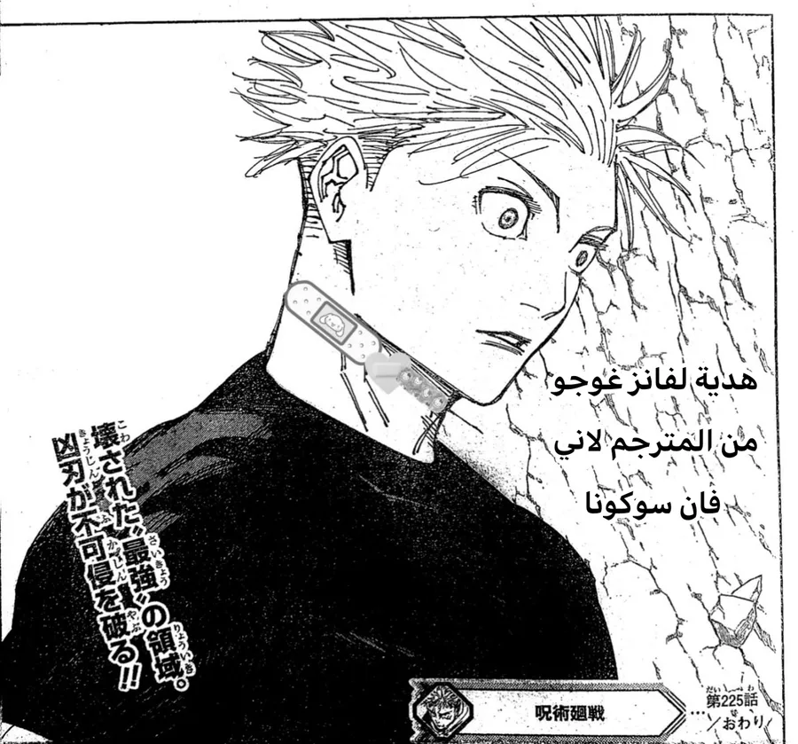 الصفحة 19 من 19
