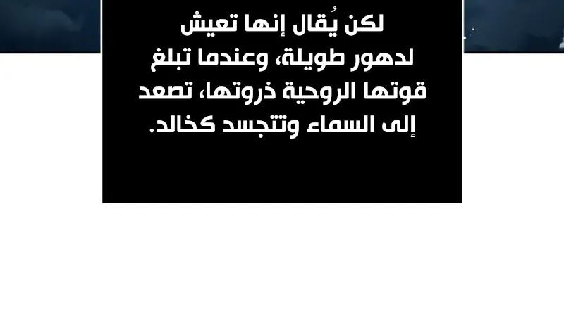 الصفحة 6 من 95