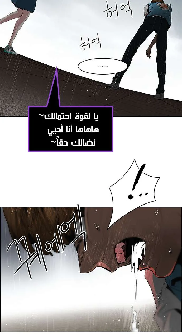 الصفحة 4 من 50