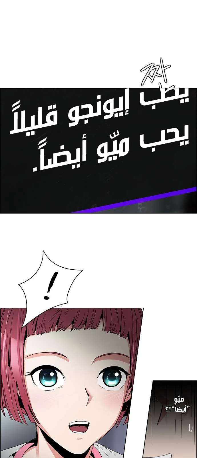 الصفحة 41 من 50