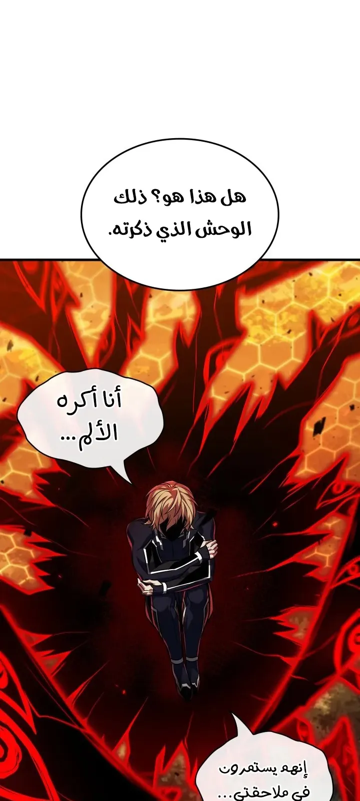 الصفحة 13 من 91