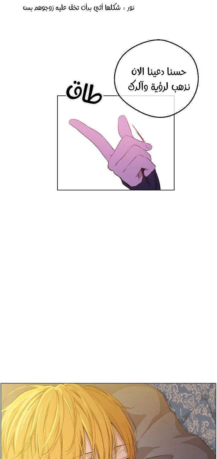 الصفحة 36 من 59
