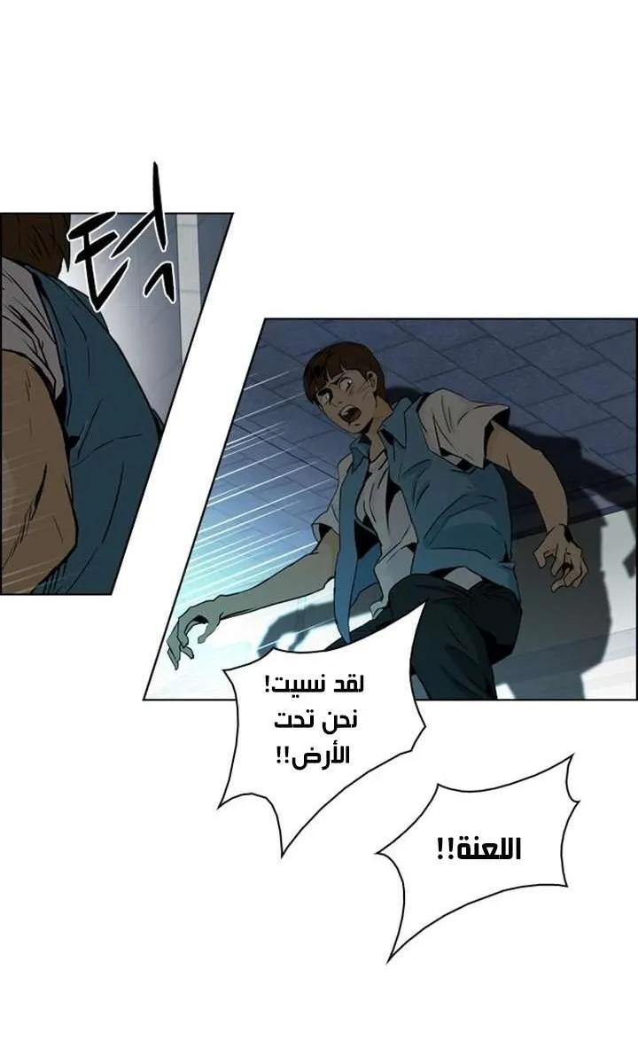الصفحة 51 من 55
