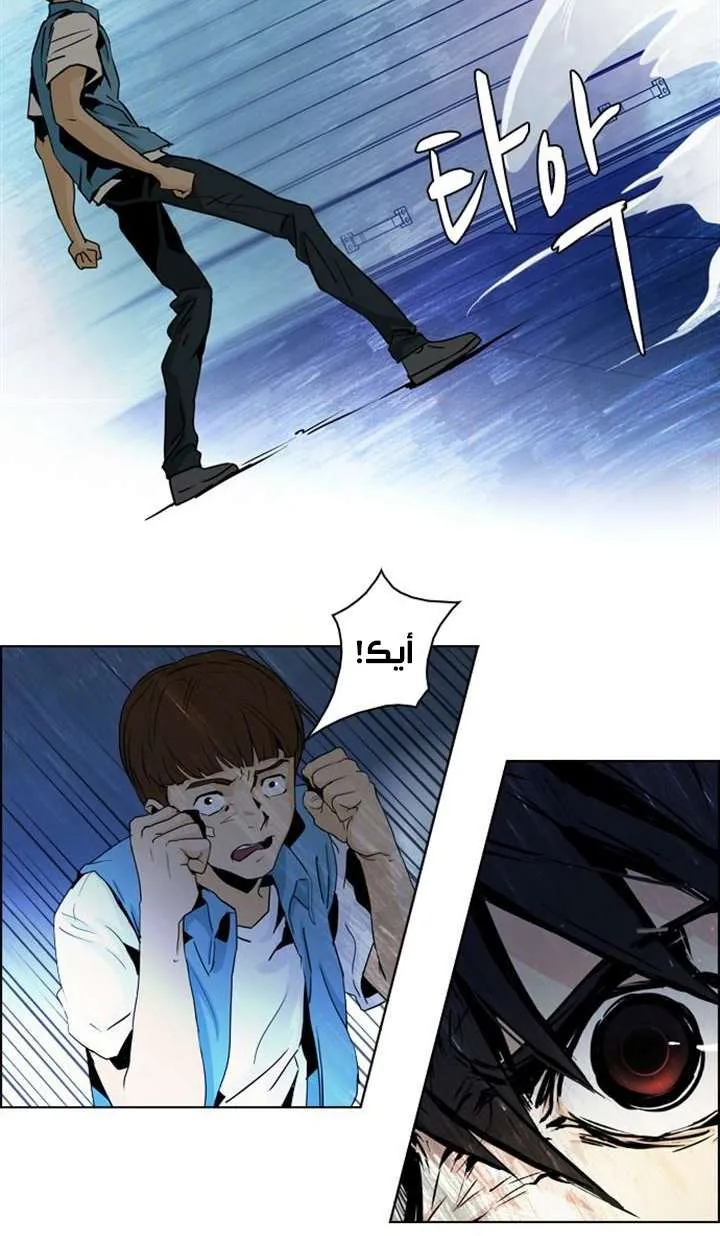 الصفحة 41 من 55