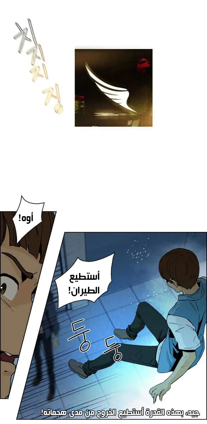 الصفحة 50 من 55