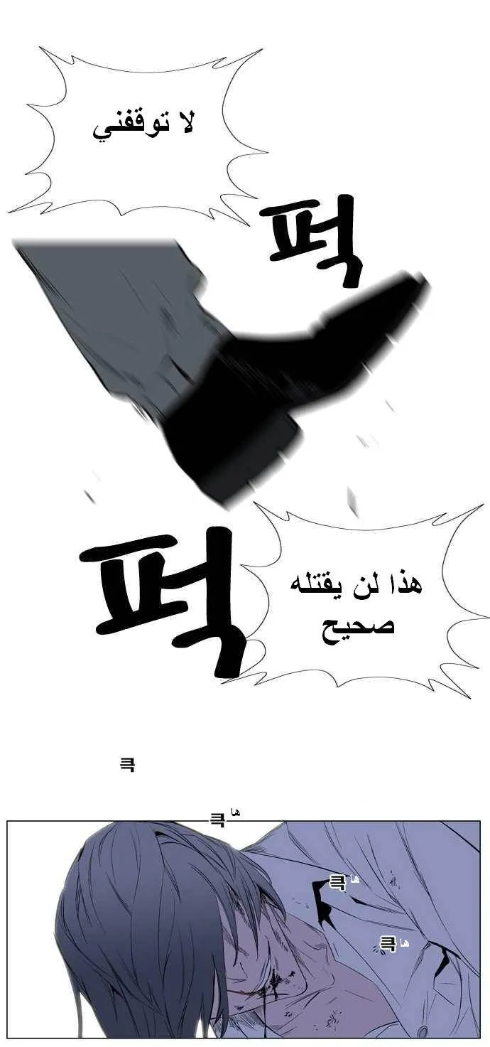 الصفحة 13 من 25