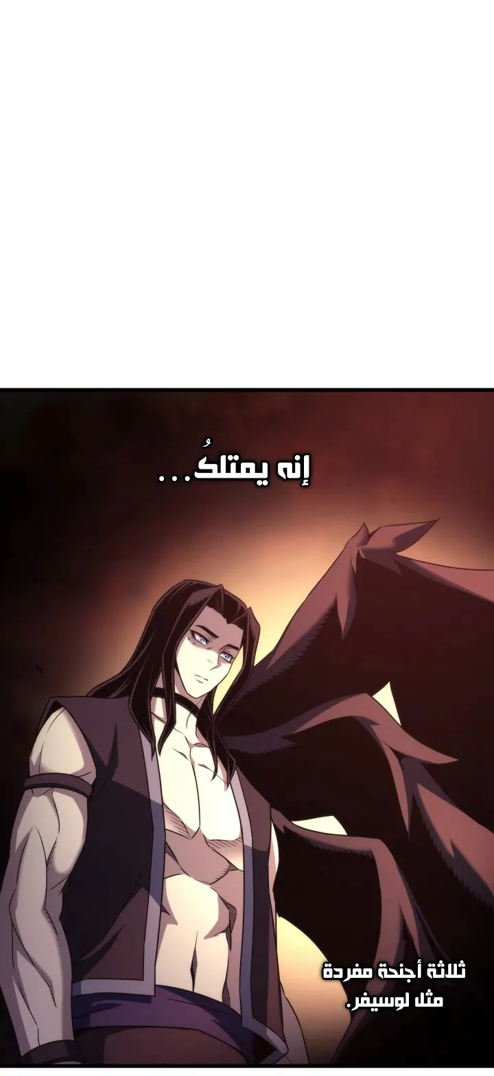 الصفحة 36 من 81