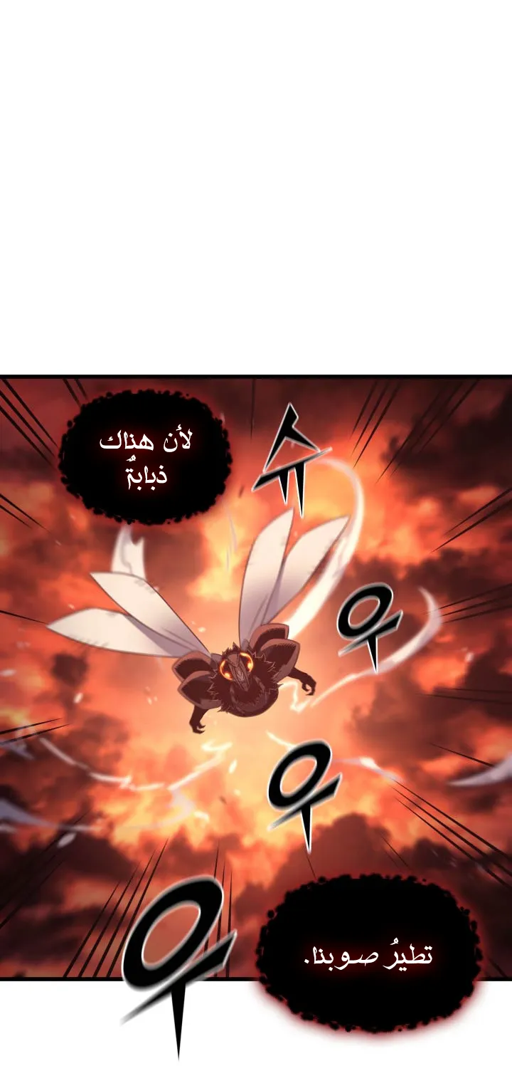 الصفحة 41 من 81