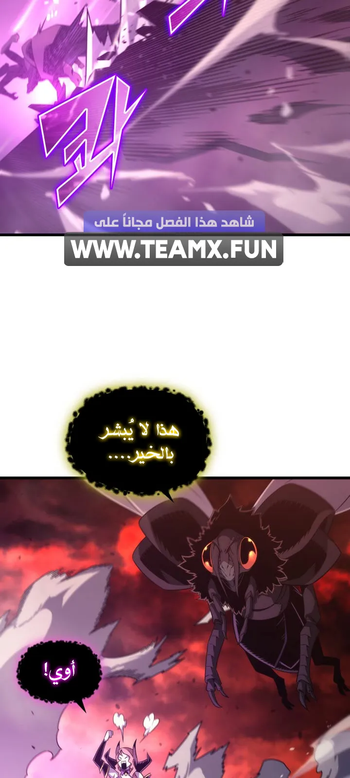 الصفحة 9 من 81