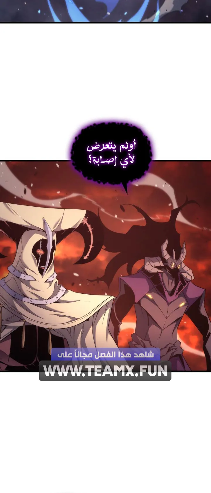 الصفحة 19 من 81