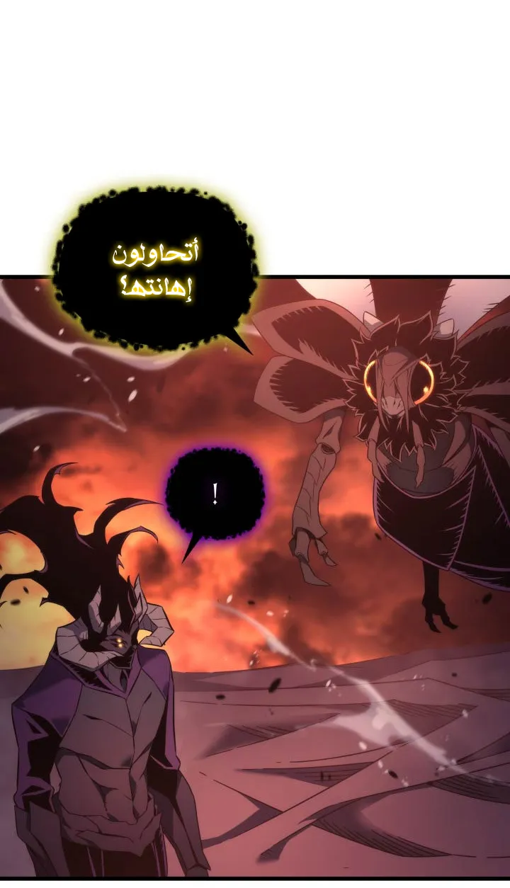 الصفحة 31 من 81