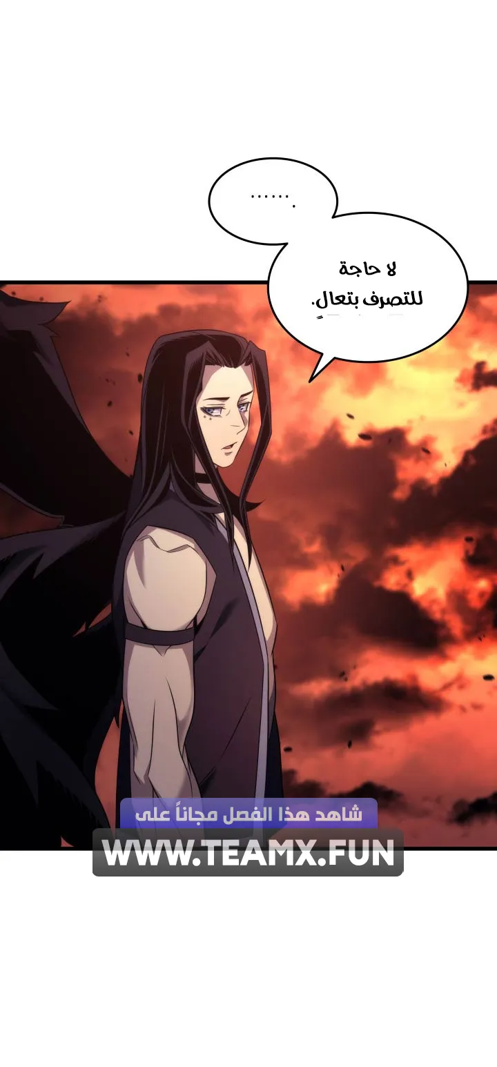 الصفحة 28 من 81