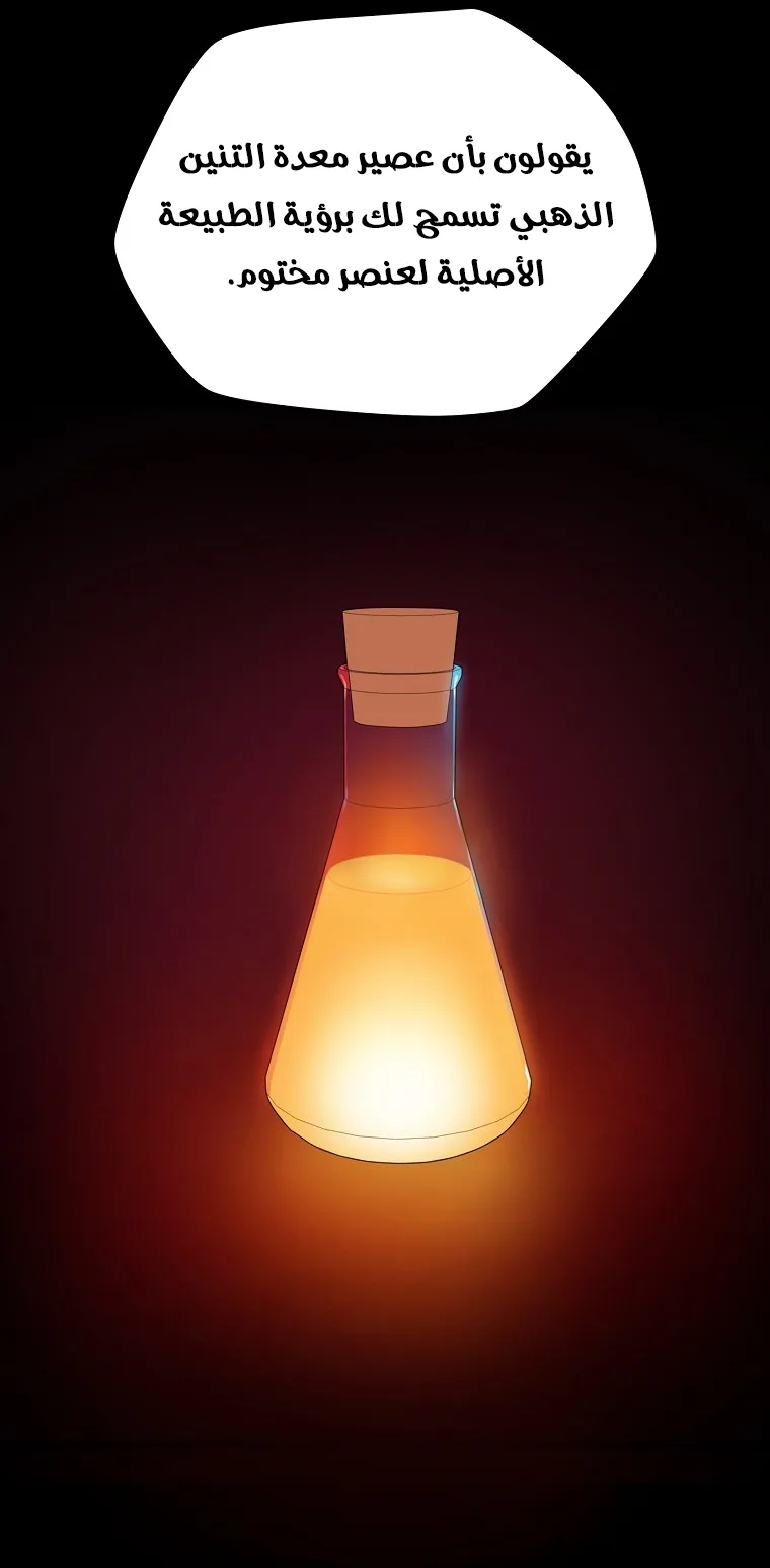 الصفحة 17 من 90
