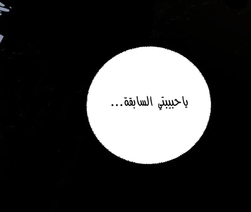 الصفحة 13 من 66