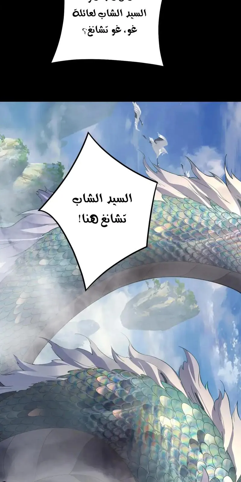 الصفحة 29 من 66