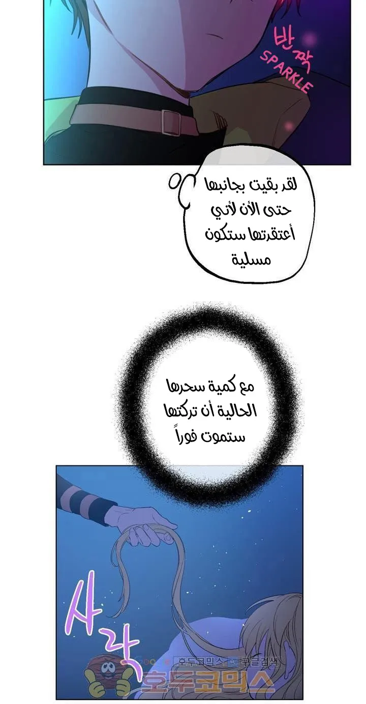 الصفحة 22 من 55
