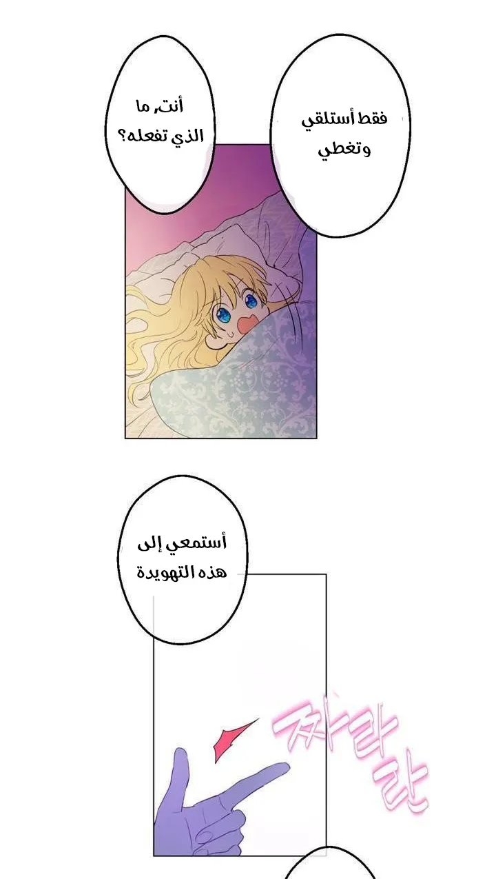 الصفحة 11 من 55