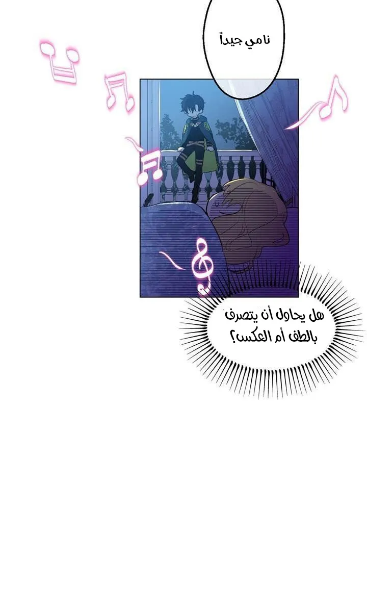 الصفحة 12 من 55
