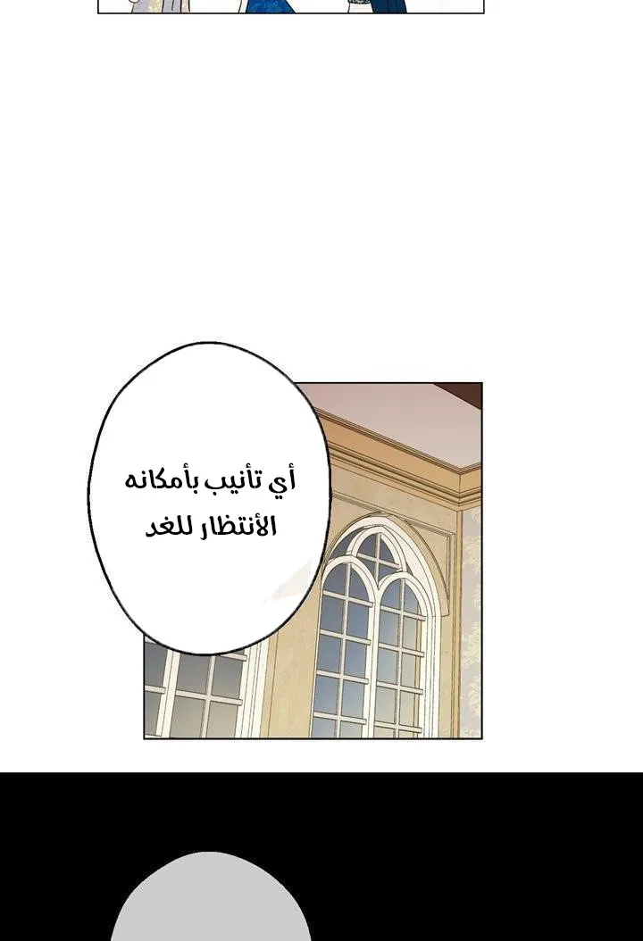 الصفحة 33 من 55