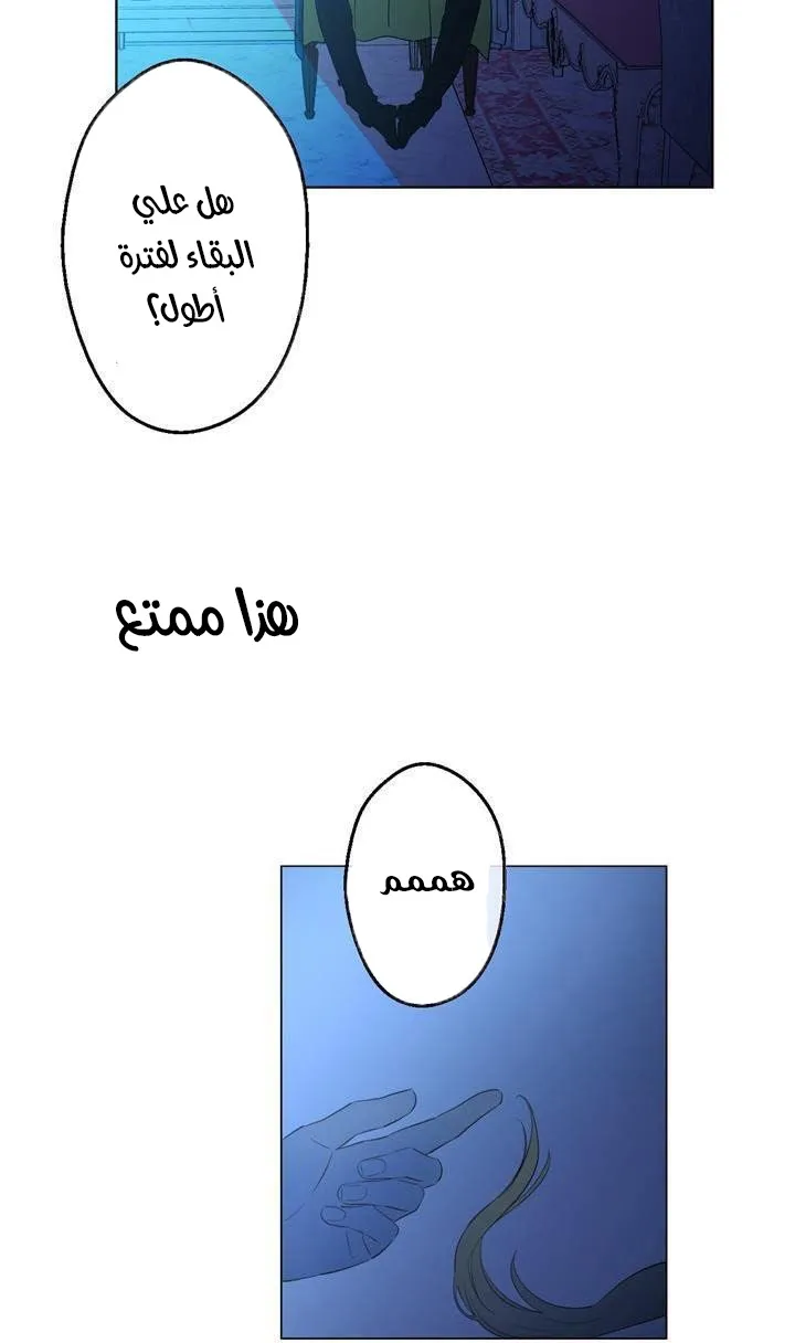 الصفحة 26 من 55