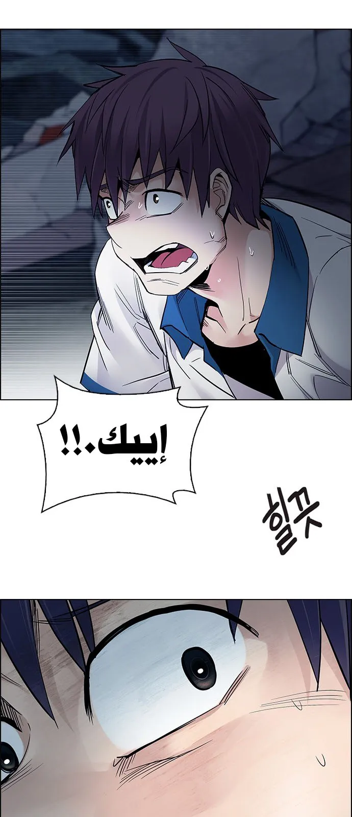 الصفحة 13 من 66