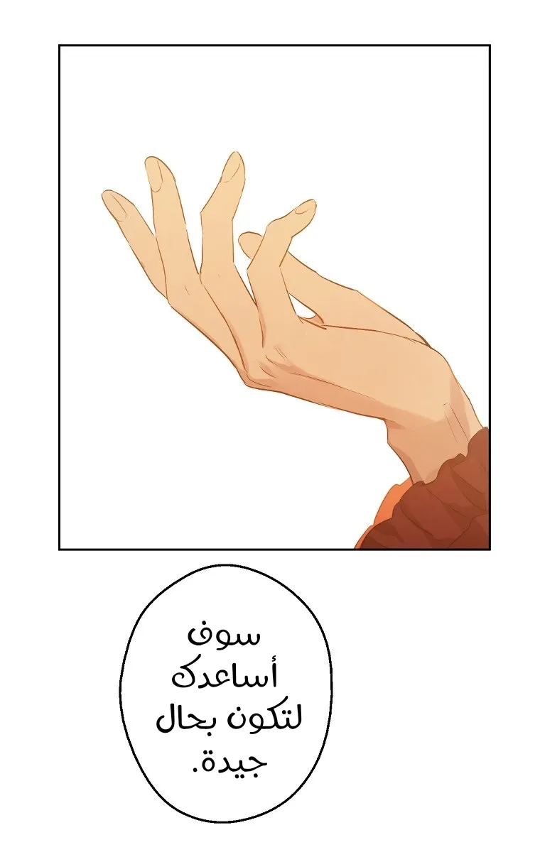 الصفحة 19 من 85