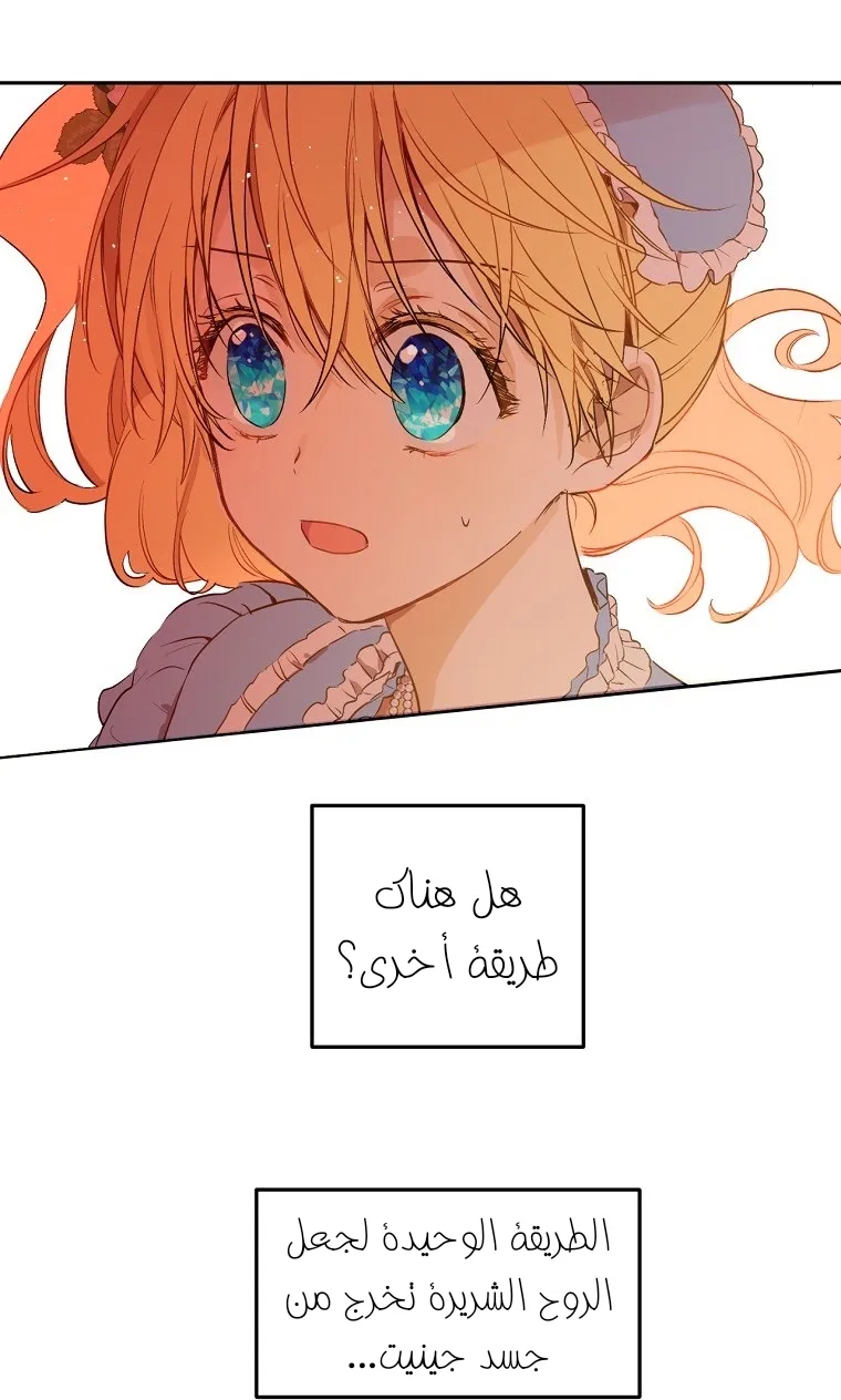 الصفحة 47 من 85